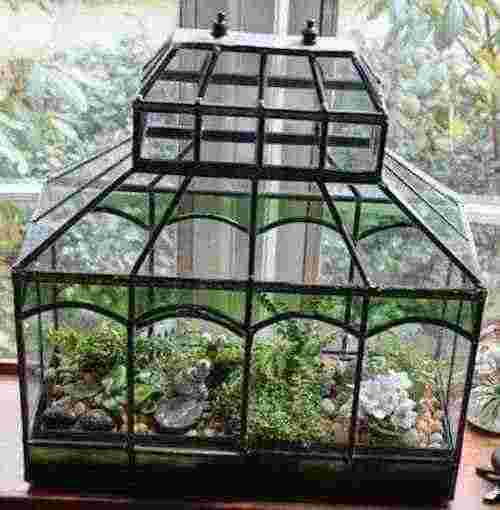 A Terrarium Garden